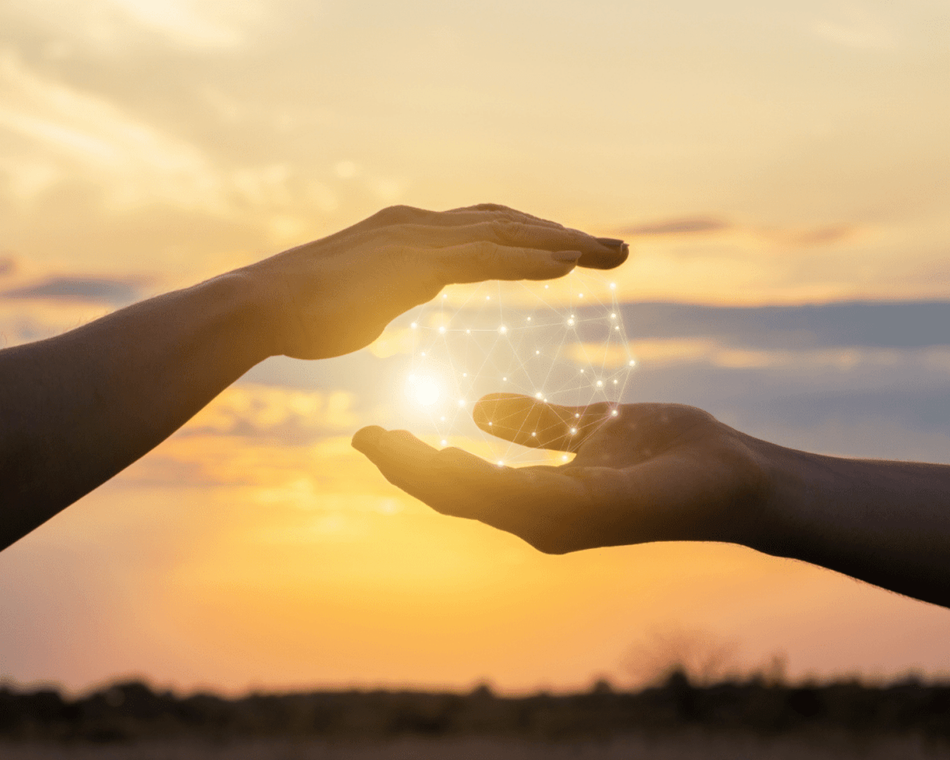 Gesundheitsmentoring, Mentoring, Life Coaching, Health Coaching, Preise,